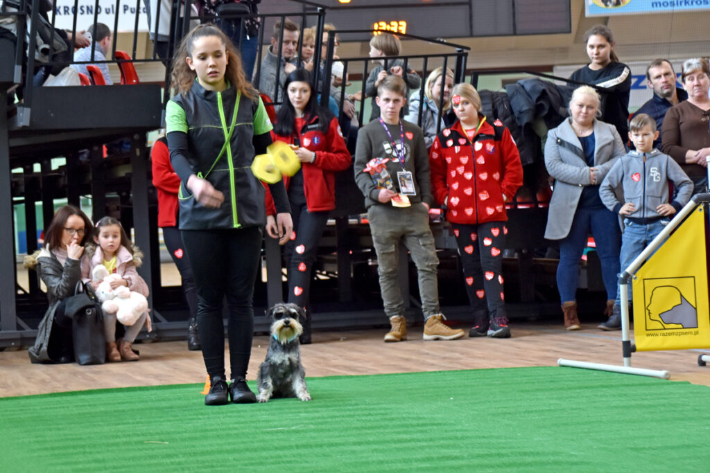 Pokaz zorganizoway przez Fundację "Razem z psem" - hala sportowa MOSiR - WOŚP Krosno 2019