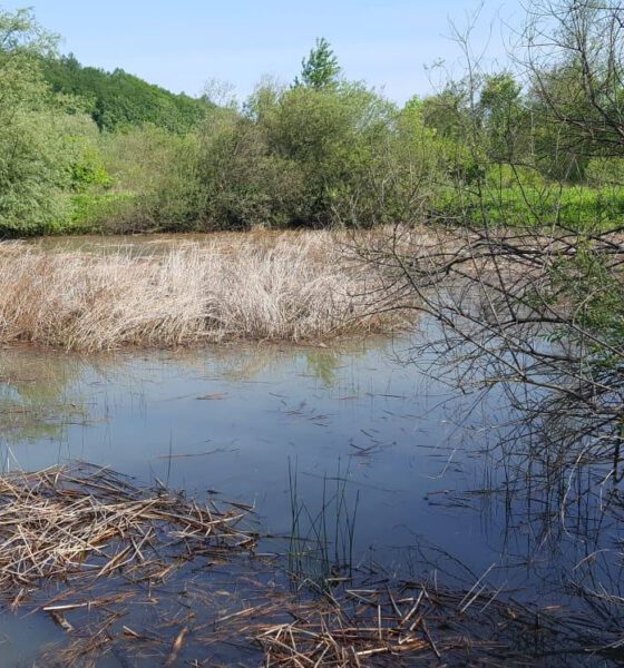 Grupa nieformalna Jętka z Jedlicza planuje stworzyć, w dolinie Jasiołki miejsce do rekreacji i odpoczynku. Ubiega się o grant fundacji Tesco