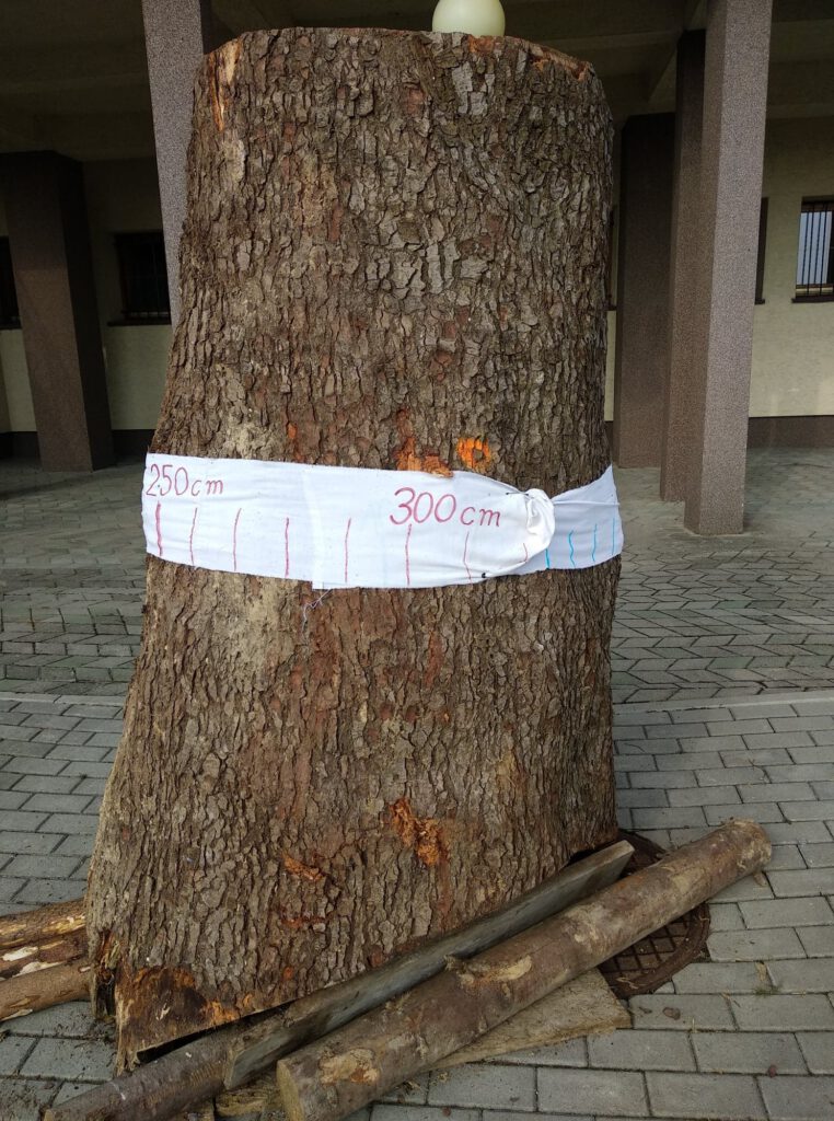 9 sierpnia w Krośnie, pod siedzibą Regionalnej Dyrekcji Lasów Państwowych, odbył się protest Inicjatywy Dzikie Karpaty.