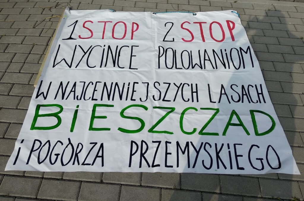9 sierpnia w Krośnie, pod siedzibą Regionalnej Dyrekcji Lasów Państwowych, odbył się protest Inicjatywy Dzikie Karpaty.
