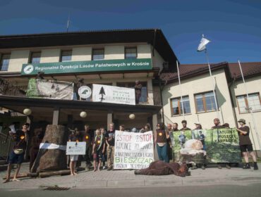 9 sierpnia w Krośnie, pod siedzibą Regionalnej Dyrekcji Lasów Państwowych, odbył się protest Inicjatywy Dzikie Karpaty.
