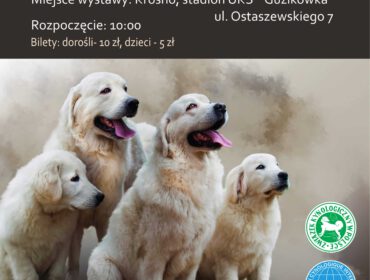 XXIX Podkarpacka Wystawa Psów Rasowych