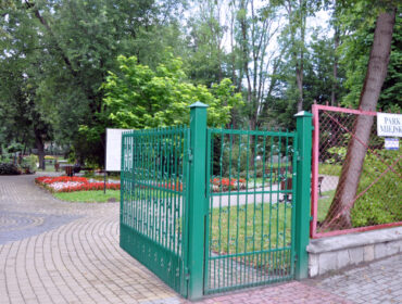 Rozpoczyna się akcja pielęgnacji i konserwacji drzew w Ogródku Jordanowskim w Krośnie