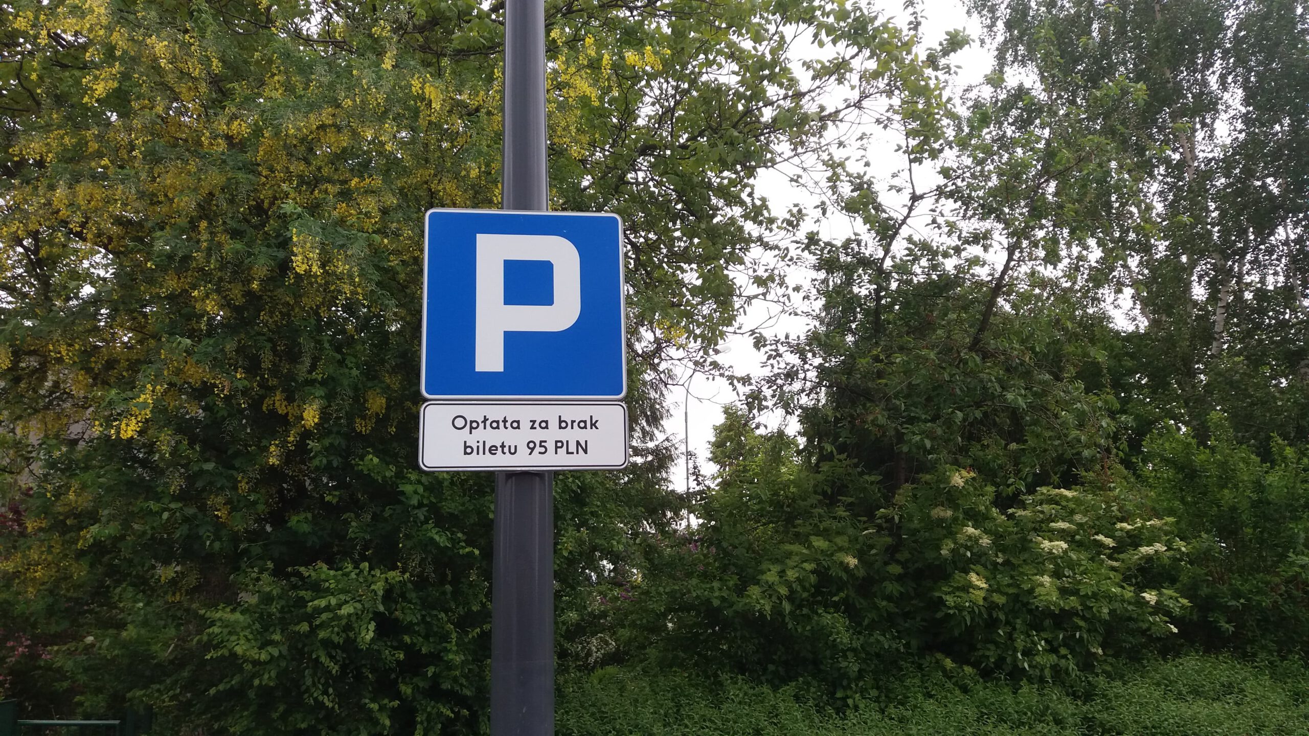 Pod Lidlem przy ul. Lniarskiej pojawiły się parkometry.
