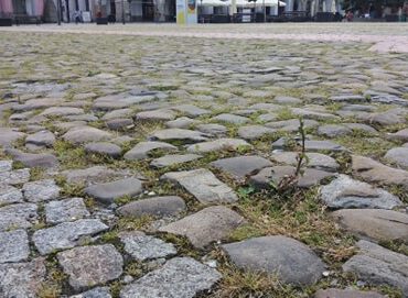 Odchwaszczanie ciągów pieszych usytuowanych na terenie całego miasta będzie prowadzone ręcznie, na części terenów odchwaszczanie prowadzone będzie z zastosowaniem preparatu pochodzenia naturalnego - nie zawierającego glifosatu