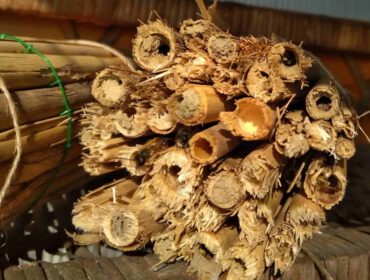 Murarka ogrodowa (Osmia rufa) to jeden z gatunków pszczół samotnic występujących na terenie całej Polski. Nazwa „murarka” pochodzi od czynności związanych z zakładaniem gniazd, gdyż pszczoła ta do ich budowy używa gliny lub piasku zmieszanego ze śliną.