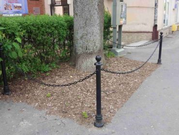 W celu poprawy warunków bytowych drzew przy ul. Staszica usunięto nawierzchnię asfaltową w ich sąsiedztwie.