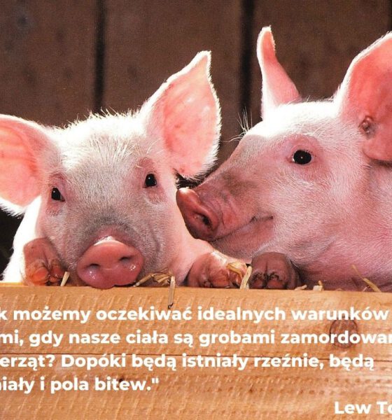Światowy Dzień Wegetarianizmu