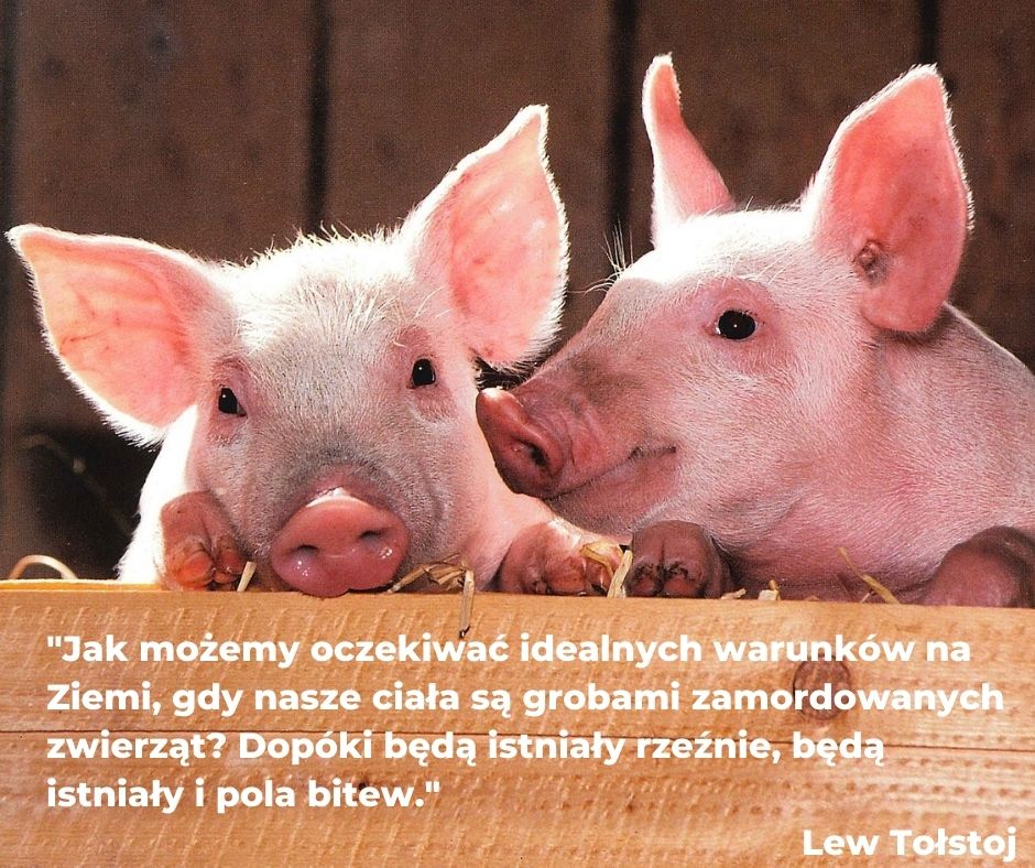 Światowy Dzień Wegetarianizmu