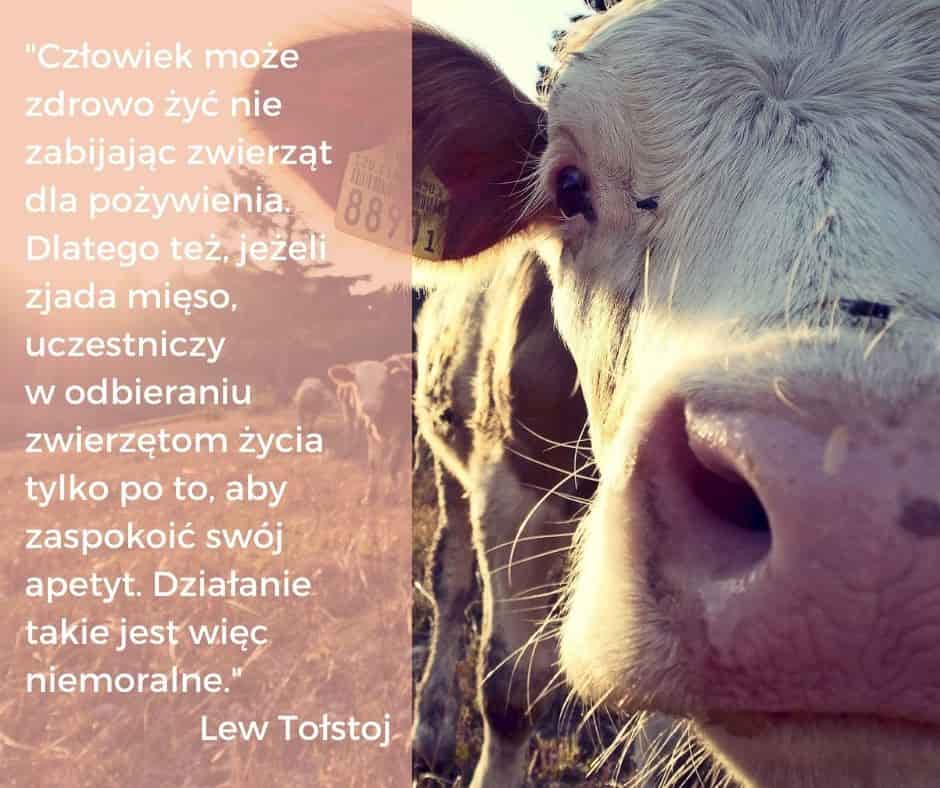 Światowy Dzień Wegetarianizmyu