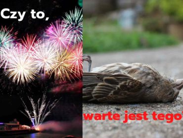 Nie strzelaj w Sylwestra