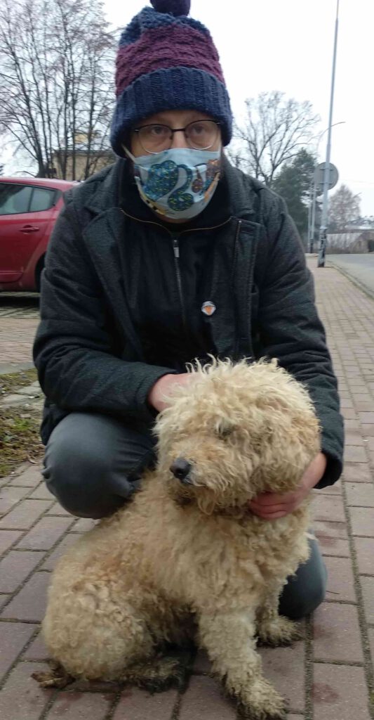 Zagubiony pies, który uciekł i został złapany kilka kilometrów od domu