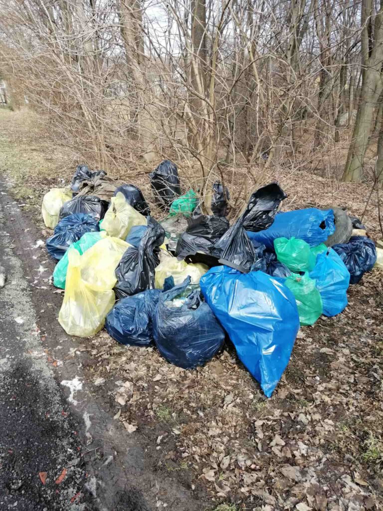21 marca 2021, w Pierwszy Dzień Wiosny oraz Dzień Lasu w całym kraju Stowarzyszenie Polska 2050 zorganizowało ponad 100 akcji pod nazwą “Eko Spacer - Wiosenne porządki”, w powiecie krośnieńskim akcję koordynowała Magdalena Ludwiczak.