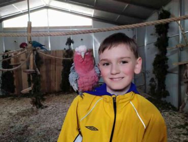 10-letni Dorian z Krosna, zmaga się z ciężką postacią hemofilii, a jego największym marzeniem jest pianino cyfrowe