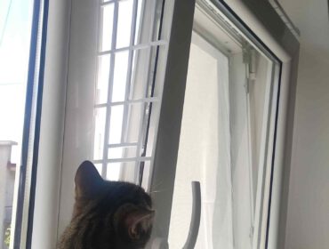 Zabezpieczenie okna uchylnego przed kotem