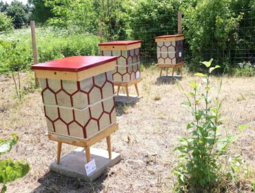 Trzy ule z recyklingu, ustawione wśród drzew owocowych, a dookoła kwietna łąka w zakolu Wisłoka, to nowy dom dla pszczół.