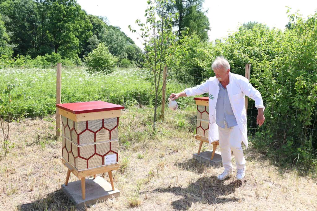 Trzy ule z recyklingu, ustawione wśród drzew owocowych, a dookoła kwietna łąka w zakolu Wisłoka, to nowy dom dla pszczół.