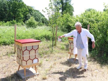 Trzy ule z recyklingu, ustawione wśród drzew owocowych, a dookoła kwietna łąka w zakolu Wisłoka, to nowy dom dla pszczół.