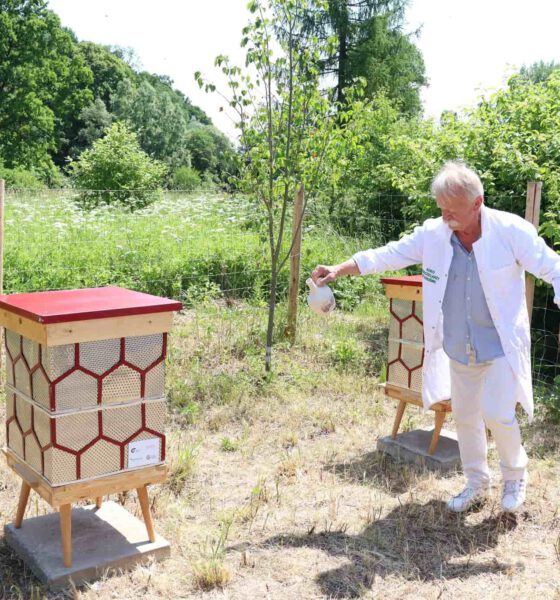 Trzy ule z recyklingu, ustawione wśród drzew owocowych, a dookoła kwietna łąka w zakolu Wisłoka, to nowy dom dla pszczół.