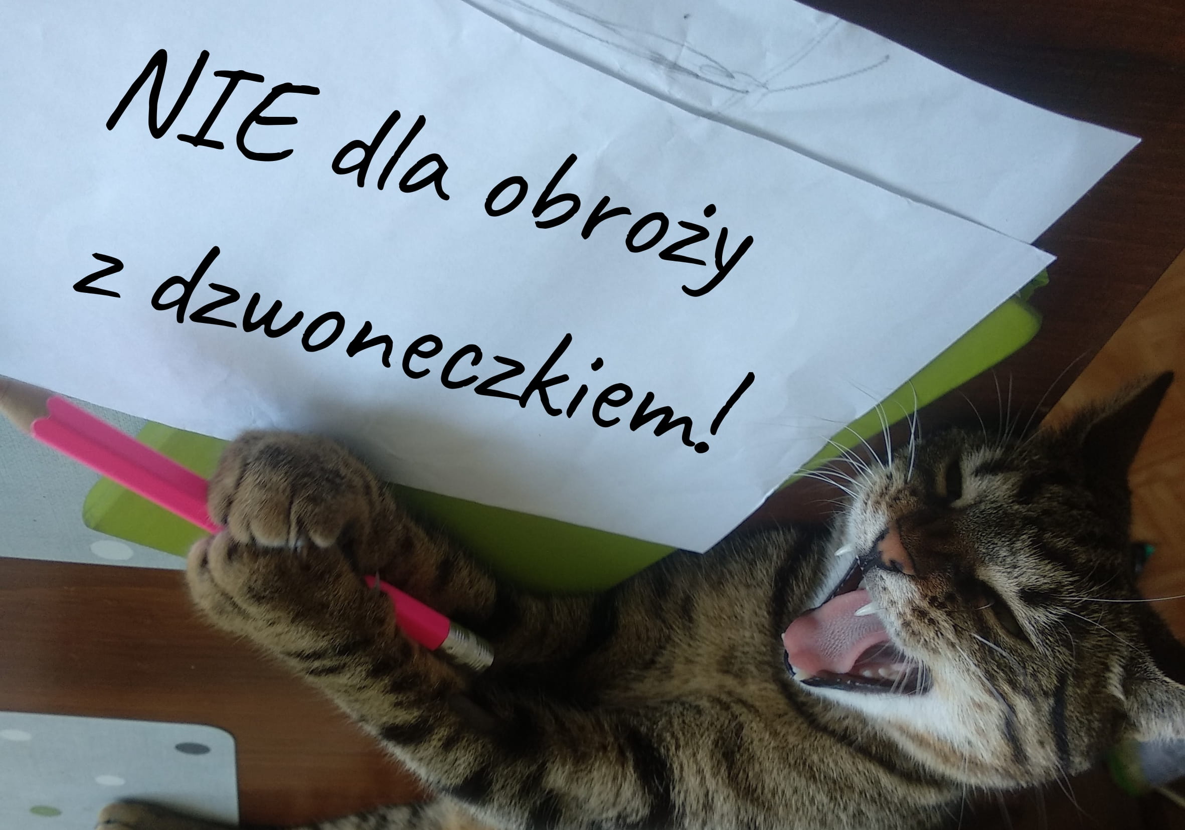 Kotka z długopisem