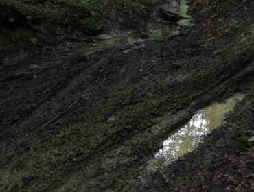 droga w lesie rozjechana przez motocyklistów