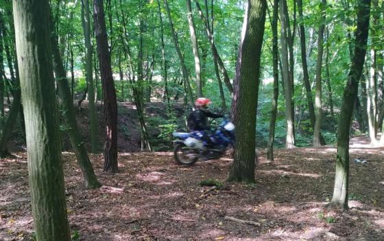 droga w lesie rozjechana przez motocyklistów