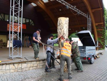 Plener rzeźbiarski "Duchy Lasu" w Iwoniczu-Zdroju