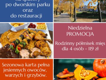 Nowa niedzielna PROMOCJA – rodzinny półmisek mięs dla 4 osób za 119 zł w Dworze Kombornia