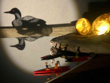 Projekt społeczno-artystyczny dedykowany wymierającym na skutek działalności człowieka gatunkom zwierząt i roślin. W jego ramach powstają instalacje-cienie prezentowane m.in. w przestrzeni publicznej.