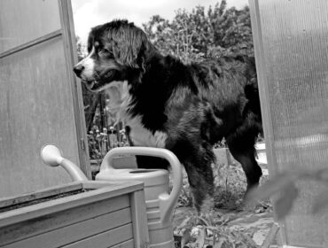 Fot_JOlanta Leśniak_Brzozowski Klub Fotograficzny