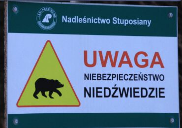 Gdzie, jak i kiedy płoszyć niedźwiedzie?