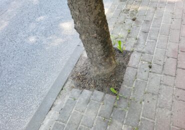 Betonoza w odwrocie