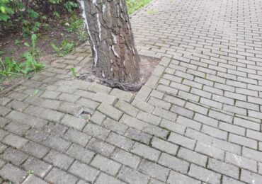 Betonoza zabija. W Krośnie
