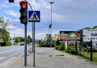 Była brzoza, nie ma brzozy. Czy to efekt betonozy?