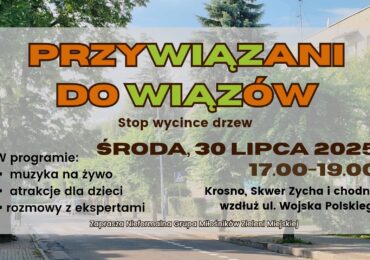 PrzyWIĄZani do wiązów. Stop wycince drzew