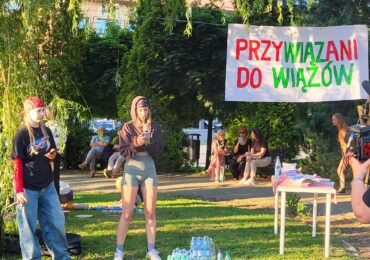 Uciszyć Radę w sprawie wycinki drzew? 