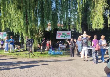 Krośnianie w obronie drzew: “Najlepszy protest Świata”