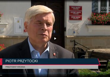 Prezydent Przytocki skłamał w sprawie wycinki drzew