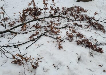 Skandaliczny komentarz radnej Dubiel