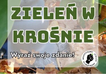 Zieleń w Krośnie - wyraź swoje zdanie