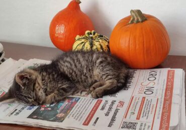 1,5% podatku dla "Pasjonautów"