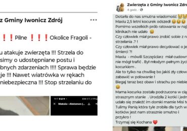 Wróg zabija, ale to przyjaciel wystawia na cel