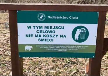 Znikają kosze. Gdzie wyrzucić śmieci?