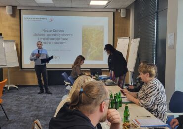 Krosno współzarządzane z mieszkańcami. Komitet Społeczny rozpoczął działalność.