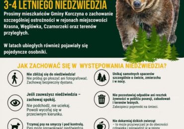 Korczyna: ostrzeżenie o niedźwiedziu