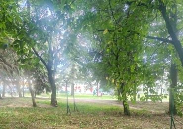 Piknik, który połączy pokolenia!