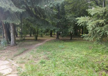 Zagłosuj na "Leśny Park Nauki i Relaksu."